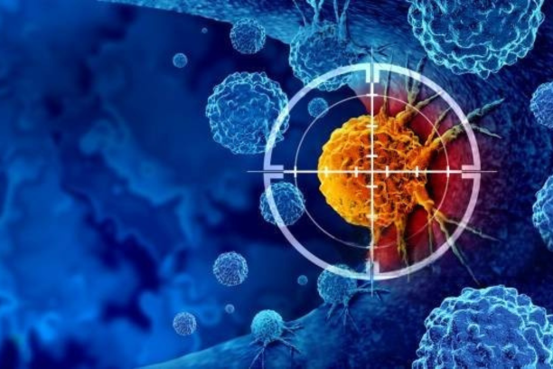 Cancer Diagnosis & Early Detection